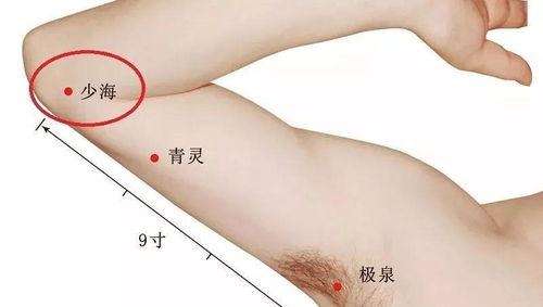 每天按这五个生发穴，秃头前的最后机会——你的毛囊还来得及抢救